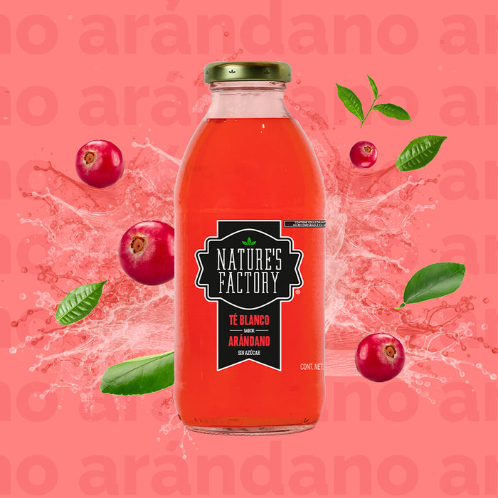 Nature’s Factory • Té Blanco Sabor Arándano Sin Azúcar | 12 piezas