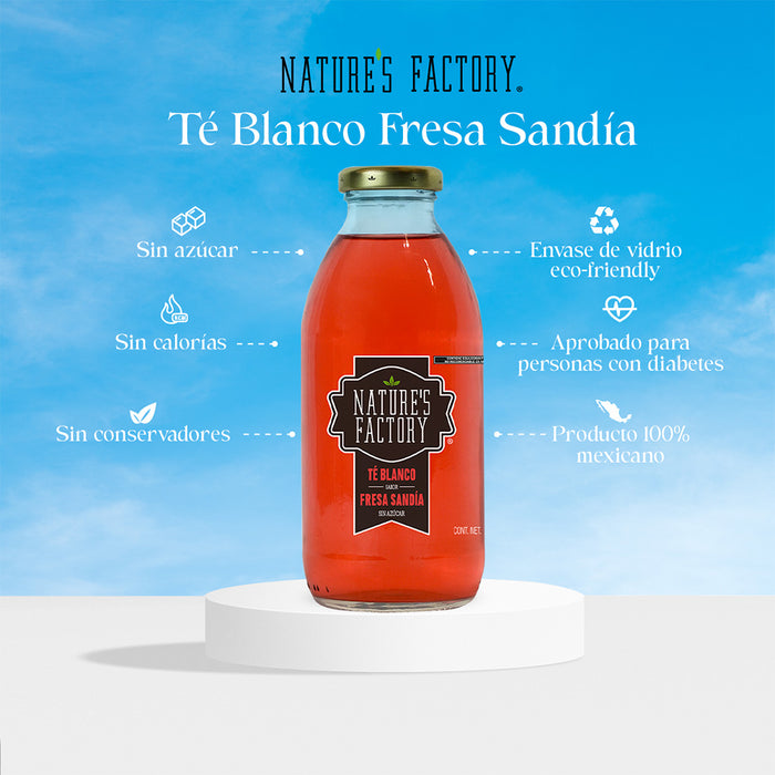 Nature’s Factory • Té Blanco Sabor Fresa Sandía Sin Azúcar | 12 piezas